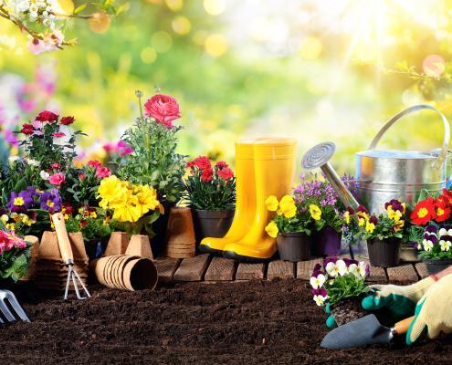 Gartenpflege im Somme