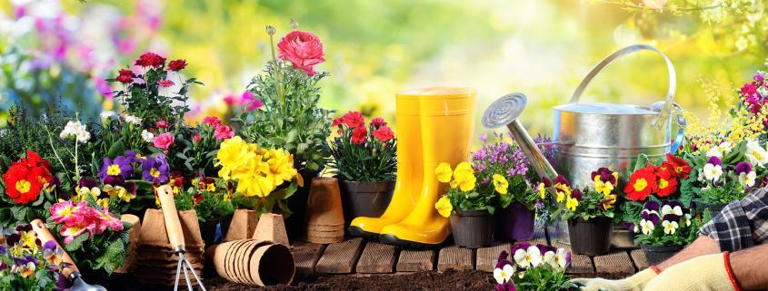 Gartenpflege im Somme