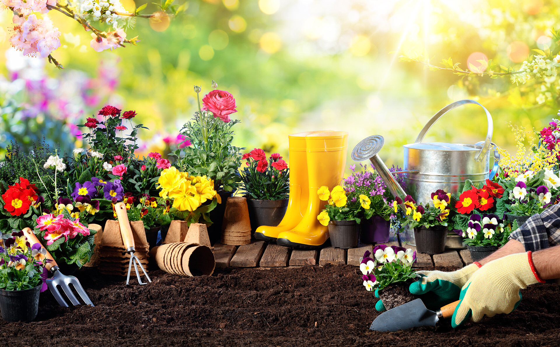 Gartenpflege im Sommer Maßnahmen Baumpflege und Garten