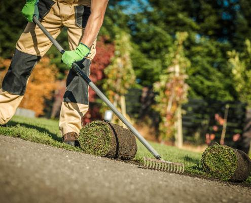 Rollrasen wird verlegt