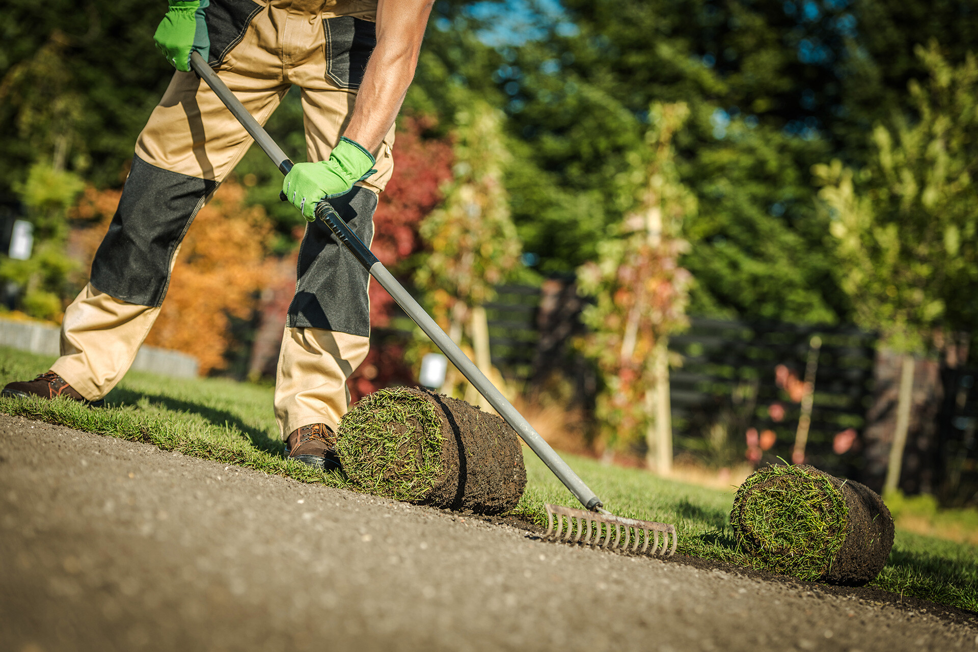 Grundstücke für Begrünung vorbereiten Baumpflege und Garten