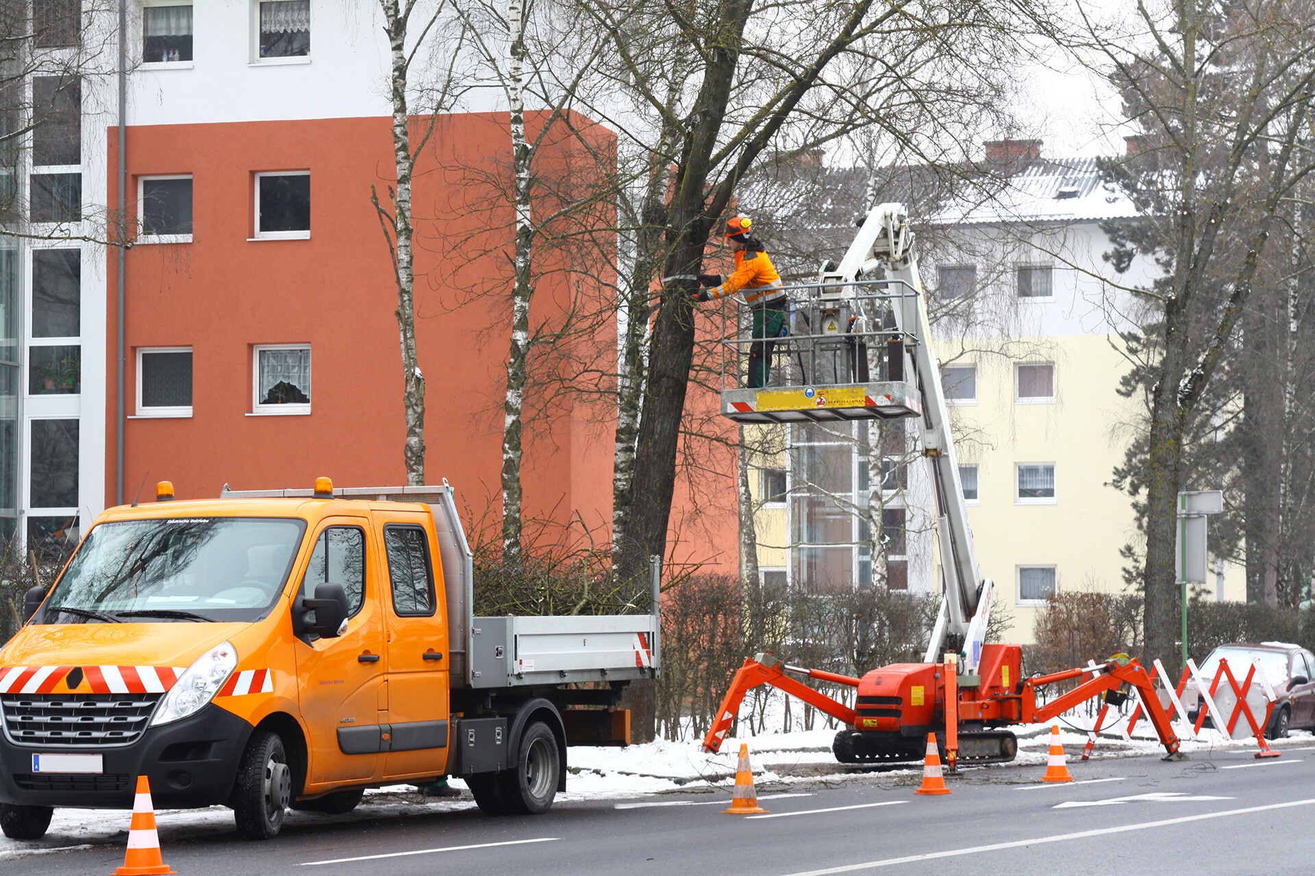 Einsatz einer Raupen-Arbeitsbühne in der Baumpflege