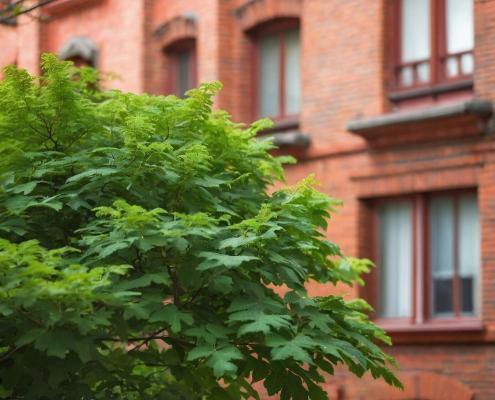 Baum vor einem Backsteingebäude