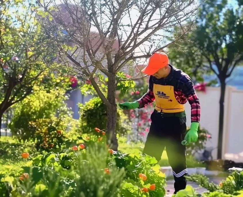 Gartenpfleger beim sichten eines Baums