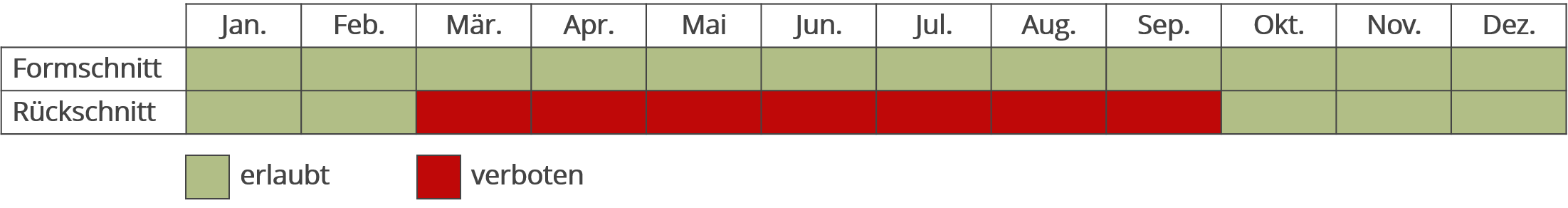 Zeiträume für den Heckenschnitt im Jahresverlauf Eine Tabelle mit den erlaubten Zeiträumen für den Heckenschnitt