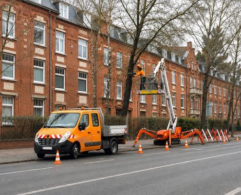 Baumkontrolle mit Arbeitsbuhne bei einem Strassenbaum
