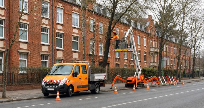 Baumkontrolle mit Arbeitsbuhne bei einem Strassenbaum