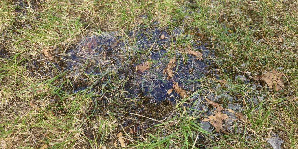 Versickerungstest Stehendes Wasser auf verdichtetem Boden in einem Garten